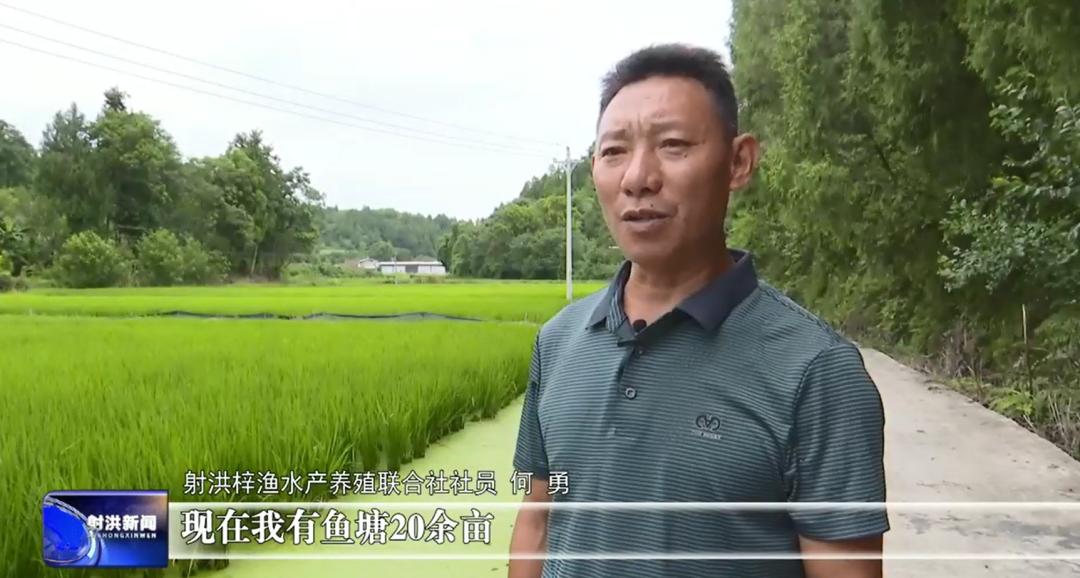 杏彩体育平台新农人杨红:以生态种养为笔绘就现代农业新画卷(图5)