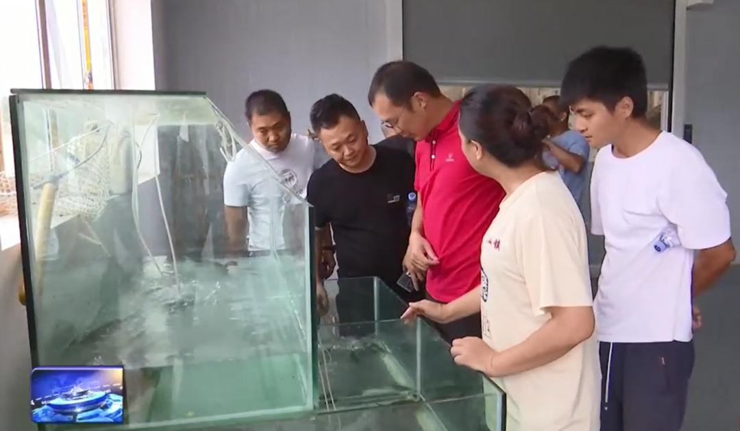 杏彩体育平台新农人杨红:以生态种养为笔绘就现代农业新画卷(图4)