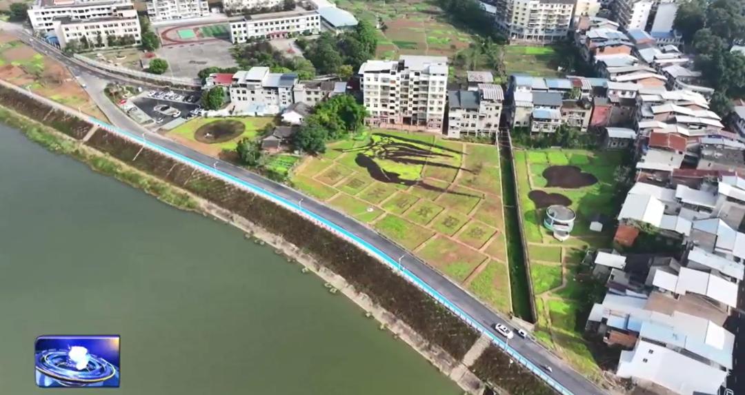 杏彩体育平台新农人杨红:以生态种养为笔绘就现代农业新画卷(图7)