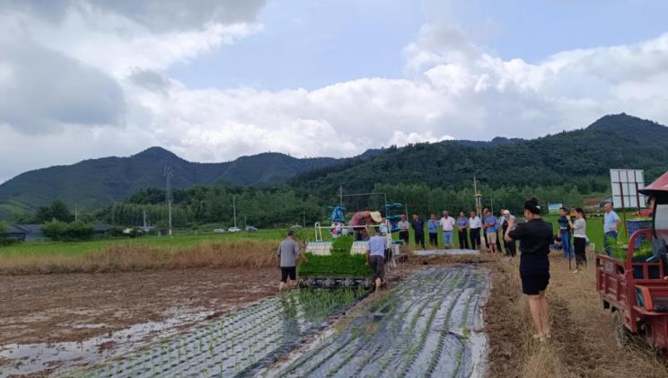 安徽石台小河：践行绿色生态发展理念构筑农业污染防治长城(图1)