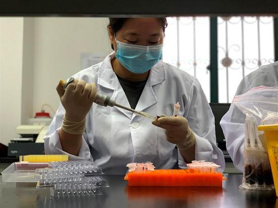 王杭花:默默耕耘二十载平凡岗位绽芳华(图2)