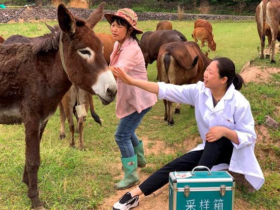 王杭花:默默耕耘二十载平凡岗位绽芳华(图1)