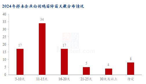 Mysteel解读：2024年白羽肉鸡种禽企业停苗周期统计及解析（山东、河北、山西、安徽、湖南）(图2)