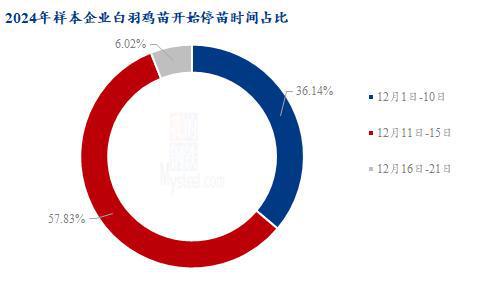Mysteel解读：2024年白羽肉鸡种禽企业停苗周期统计及解析（山东、河北、山西、安徽、湖南）(图1)