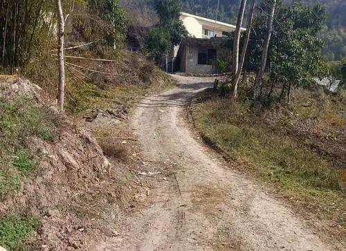 仇！77岁老人“残忍打死弟弟”烧尸未果：侄女选择谅解判无杏彩体育平台期！(图2)