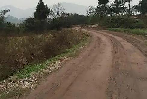 仇！77岁老人“残忍打死弟弟”烧尸未果：侄女选择谅解判无杏彩体育平台期！(图3)