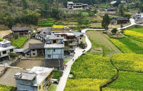 仇！77岁老人“残忍打死弟弟”烧尸未果：侄女选择谅解判无杏彩体育平台期！(图1)