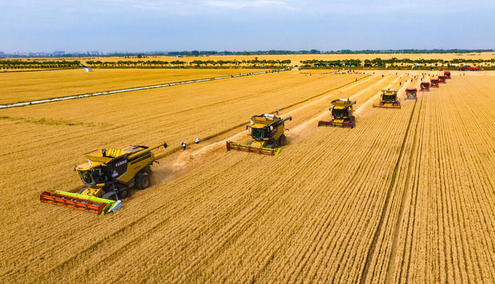 农业科技兴乡村生活美——“高质量发展调研行”聚焦全面推进乡村振兴(图11)