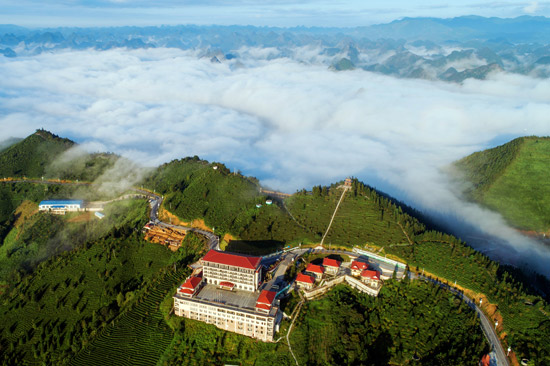 2024年乐业县空气质量平均优良天数达997%杏彩体育(图1)