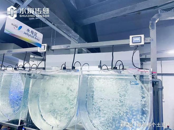 水产养殖水质监测仪:打造生态养殖新标杆(图1)