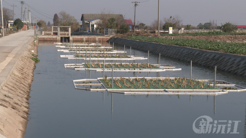 渔业绿色循环项目：激活养殖新生态赋能乡村振兴(图1)