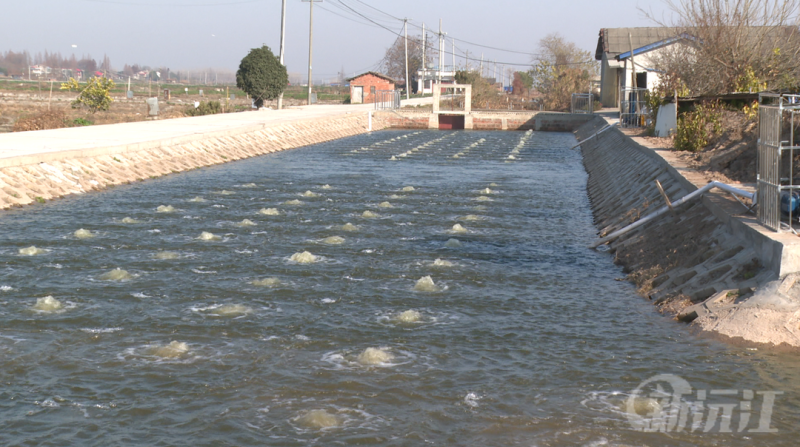 渔业绿色循环项目：激活养殖新生态赋能乡村振兴(图2)
