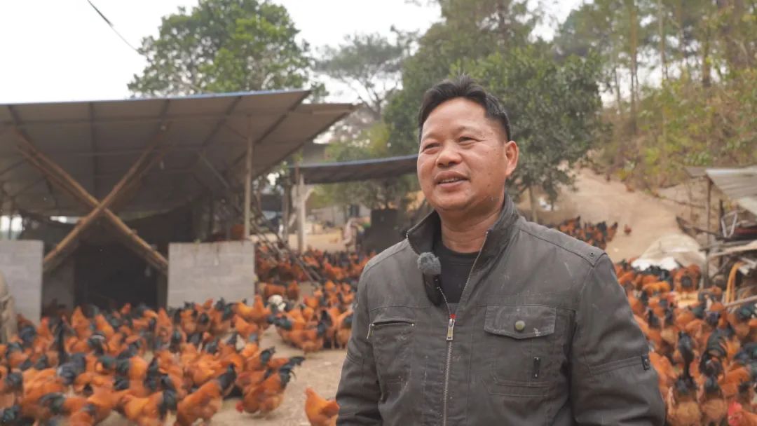 生态养殖绿色年货走俏市场(图4)