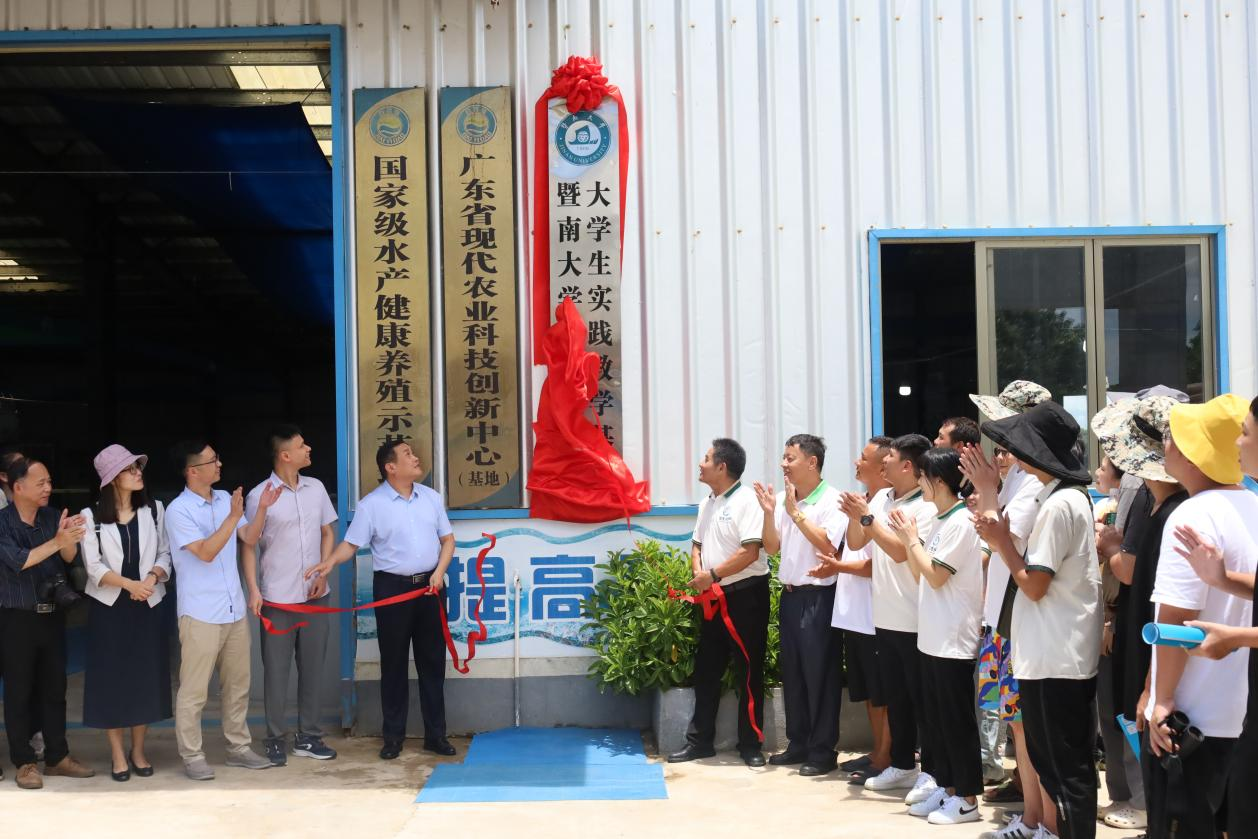 阳江市人民政府(图3)