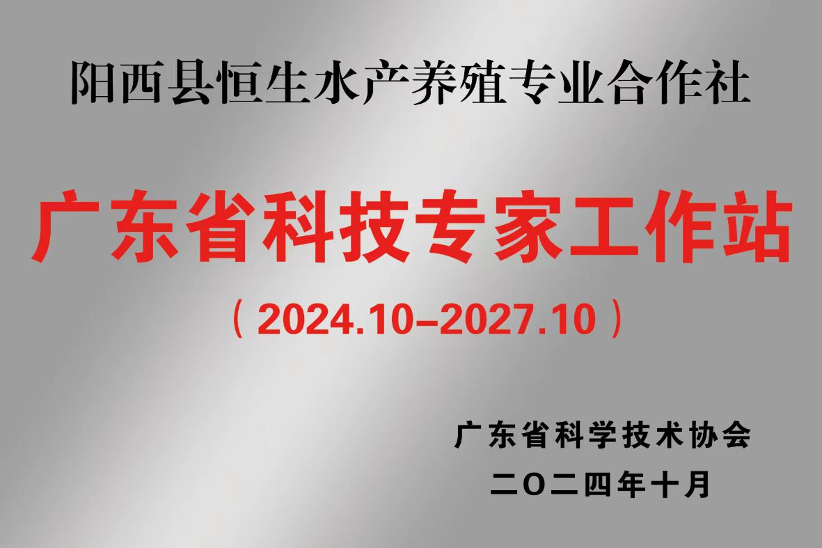 阳江市人民政府(图4)