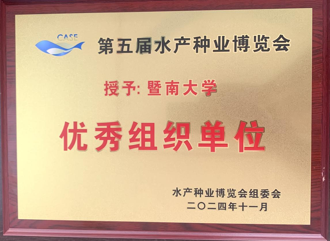 阳江市人民政府(图6)