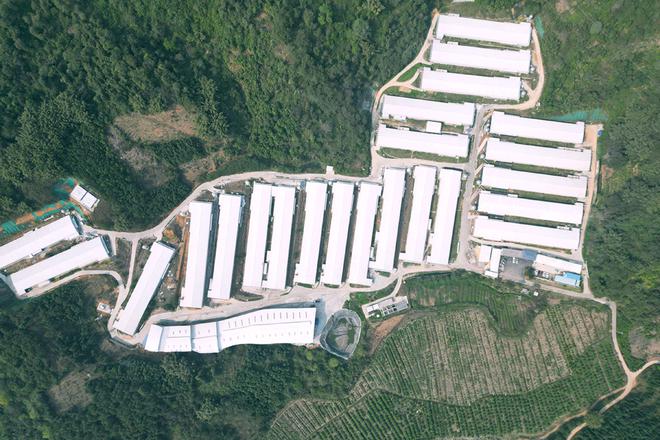 温氏集团2024年营收首次突破千亿元(图3)