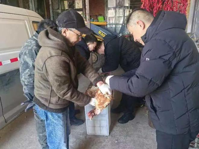 守好动物疫病防控关口为畜牧业健康发展保驾护航(图1)