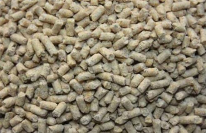 土鸡怎么辨认：卖的土鸡都是真货？满足三个基本条件才是真(图6)