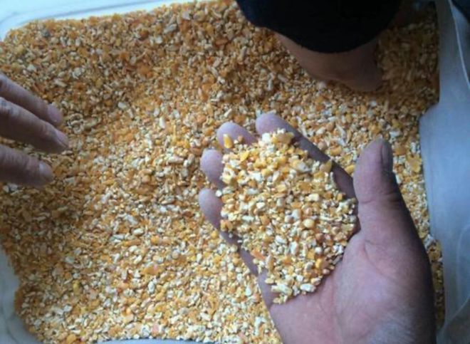 土鸡怎么辨认：卖的土鸡都是真货？满足三个基本条件才是真(图5)