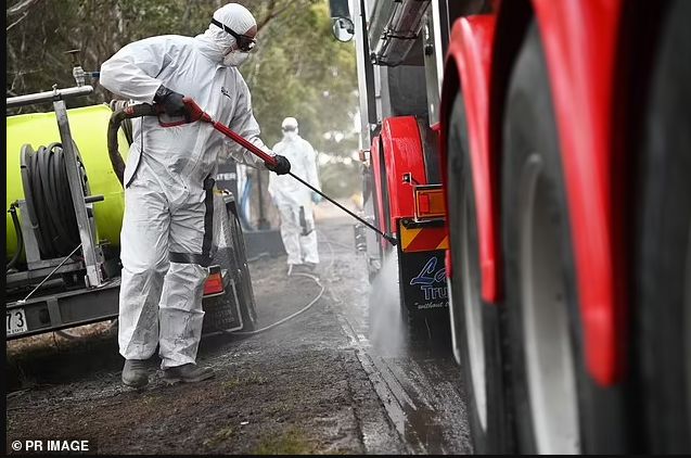 明尼苏达州因三重疾病爆发宣布进入紧急状态(图1)