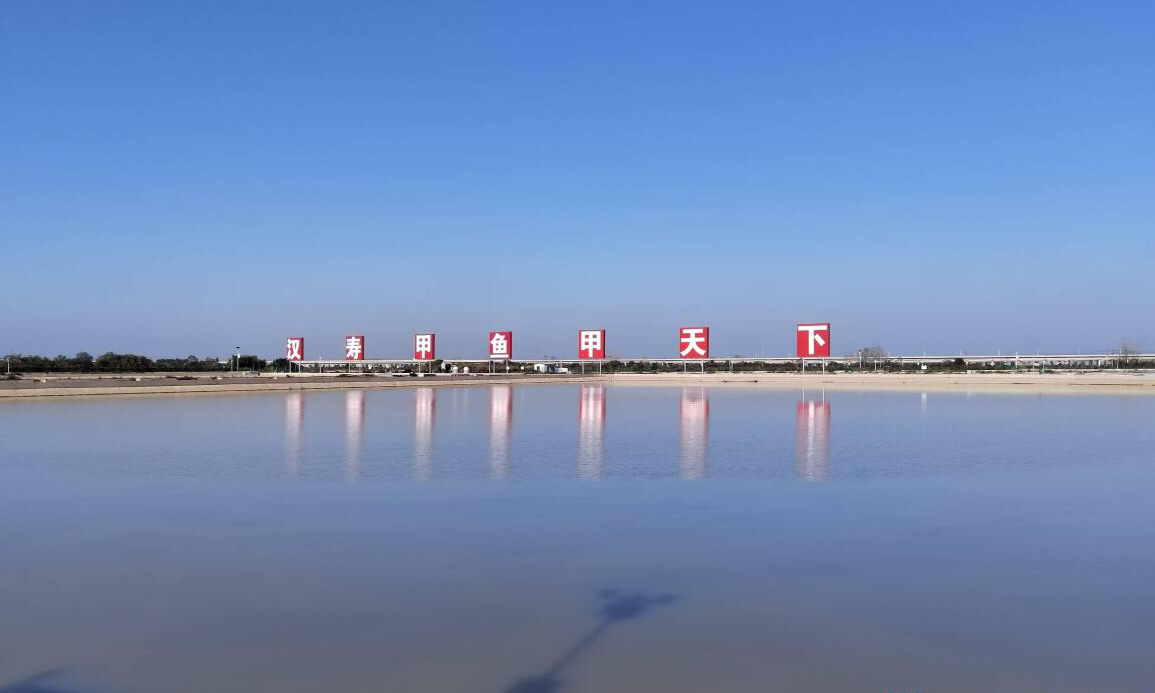 品质为先湖南汉寿甲鱼产值过100亿(图1)