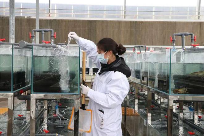 “一季虾一季稻”！大竹小龙虾撬动乡村振兴大产业(图3)