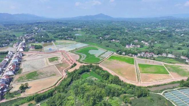 “一季虾一季稻”！大竹小龙虾撬动乡村振兴大产业(图1)