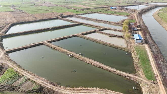 息县:生态养殖业蓬勃发展泥河变成了“金疙瘩”(图1)