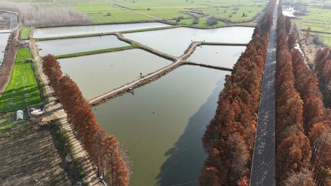 息县:生态养殖业蓬勃发展泥河变成了“金疙瘩”(图2)