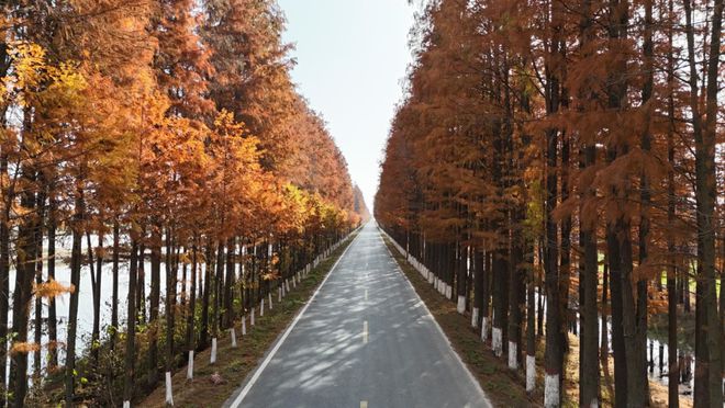 息县:生态养殖业蓬勃发展泥河变成了“金疙瘩”(图3)