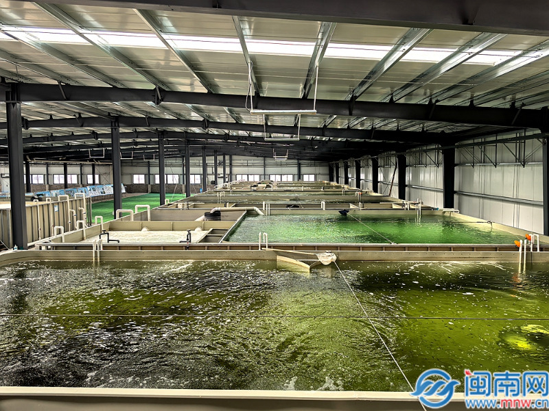 漳州长泰：生态循环养殖激活乡村振兴“一池春水”杏彩体育(图3)