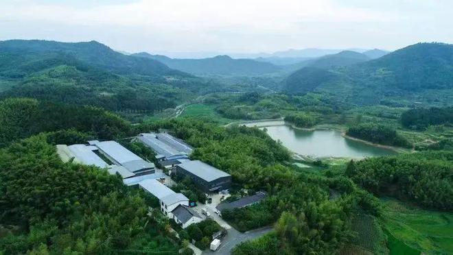 “鸡”遇来了！看桐庐、余杭、淳安如何“孵”出共富产业链！杏彩体育平台(图1)