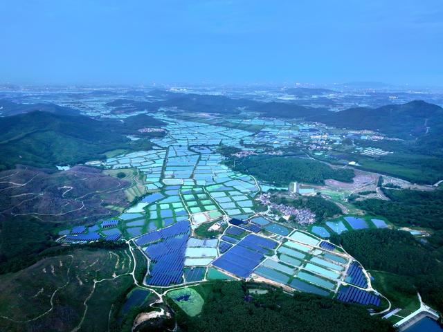 打造区域品牌!高明推进全国渔业绿色循环发展试点建设(图1)