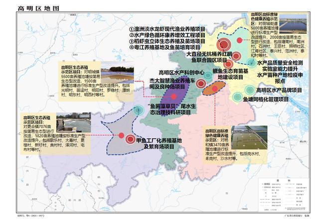 打造区域品牌!高明推进全国渔业绿色循环发展试点建设(图6)