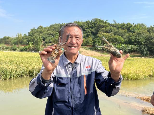 打造区域品牌!高明推进全国渔业绿色循环发展试点建设(图7)