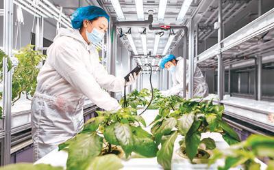 “七区二十三带”咋发展？（乡村全面振杏彩体育兴好光景②）(图2)