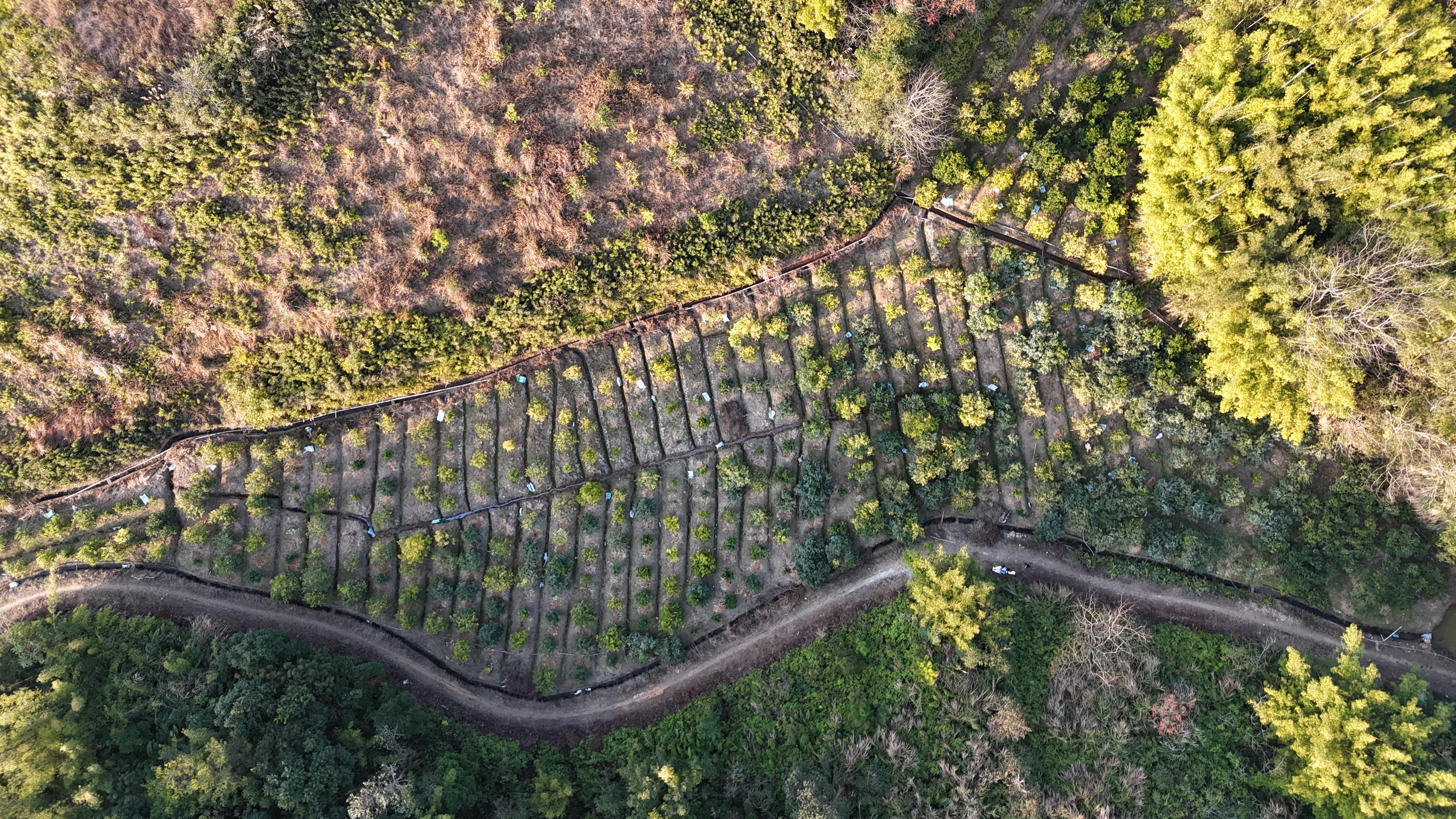 如何养好“全身是宝”的广地龙？华农师生赴湛江、梅州考察调研(图2)