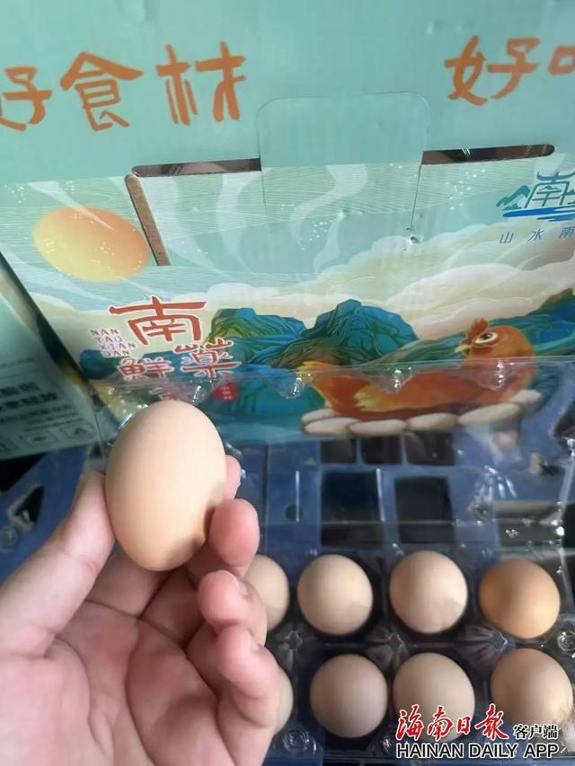 屯昌:生态农场垒起“金窝”孵“金蛋”(图2)