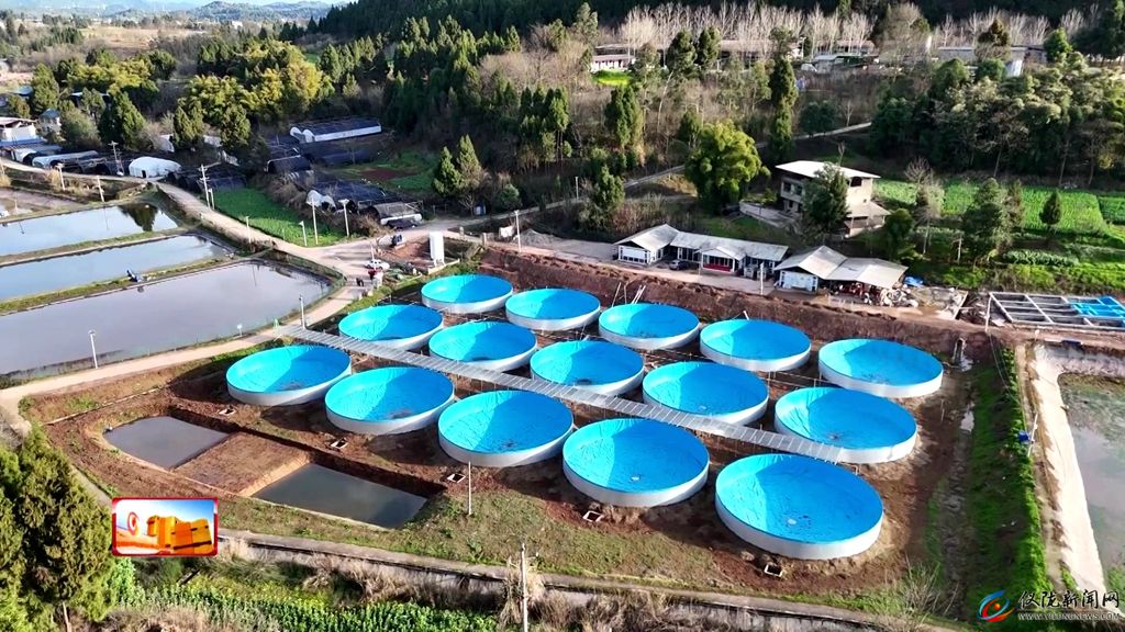 乡村振兴进行时｜雷杏彩体育家沟村：菌菇撑开“致富伞”生态养殖“游”出富民路(图5)