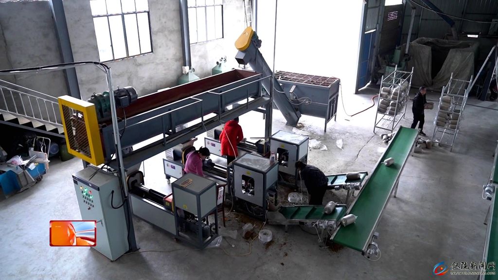 乡村振兴进行时｜雷杏彩体育家沟村：菌菇撑开“致富伞”生态养殖“游”出富民路(图3)