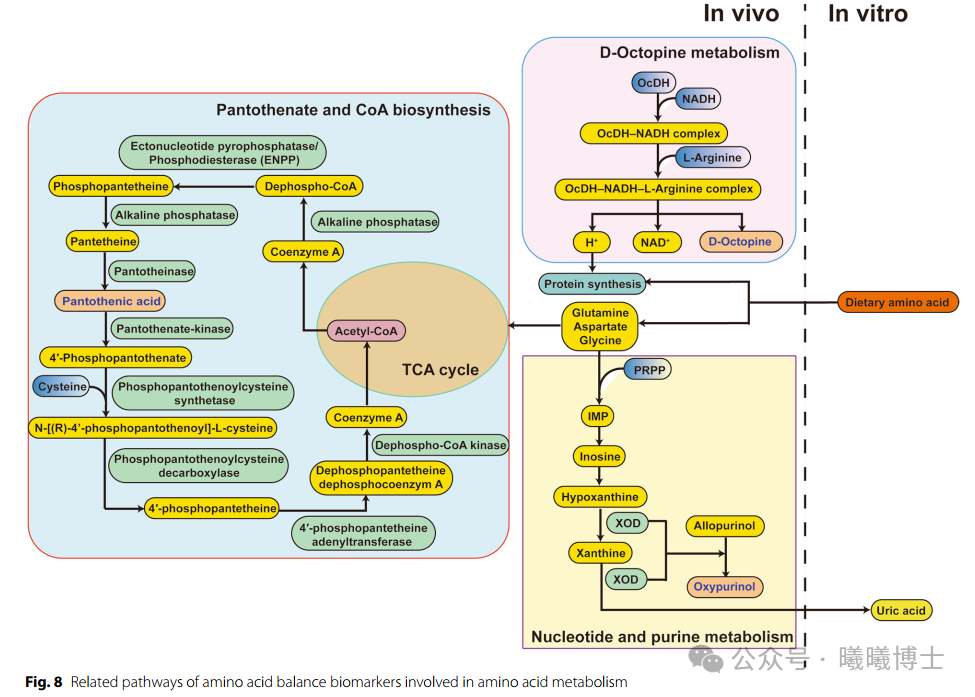 2024年12月营养快报——家禽篇（来自曦曦博士）(图2)