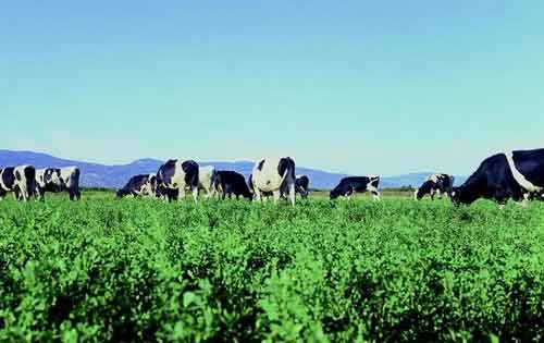 提倡发展生态养殖有哪些重要意义？(图2)