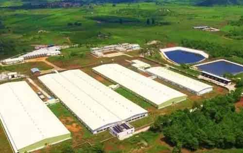 提倡发展生态养殖有哪些重要意义？(图3)