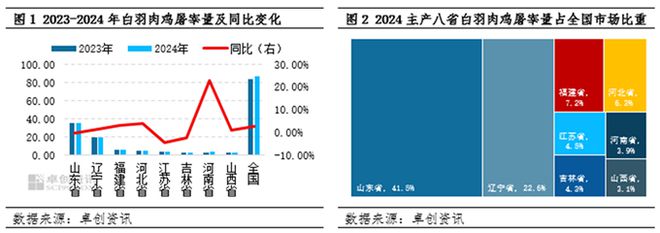 杏彩体育2024年全国白羽肉鸡屠宰量86亿只山东35亿只辽宁19福建6！(图1)