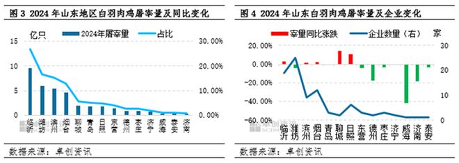 杏彩体育2024年全国白羽肉鸡屠宰量86亿只山东35亿只辽宁19福建6！(图2)