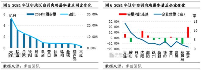 杏彩体育2024年全国白羽肉鸡屠宰量86亿只山东35亿只辽宁19福建6！(图3)