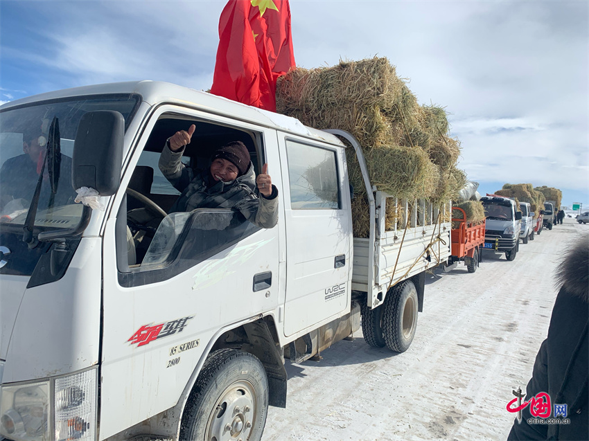 玉树畜牧业称多模式：保生态富口袋科学养殖助牧民增产致富(图3)