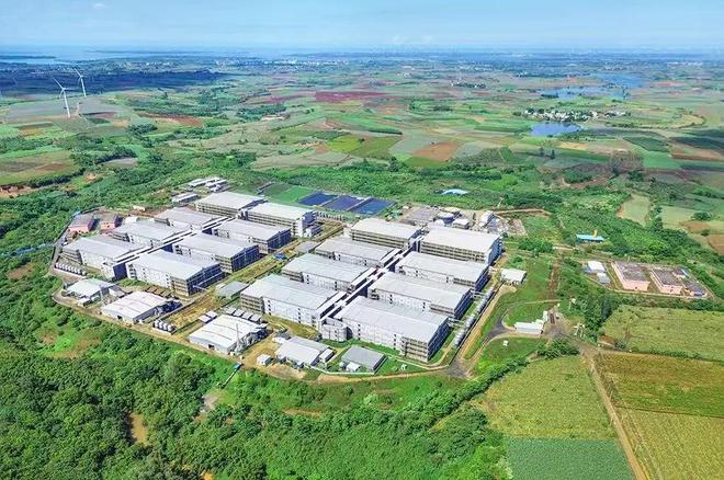 京基智农2024年净利润714亿生猪养殖主业强势崛起贡献533亿【兆丰华特约·巨头猪事】(图2)