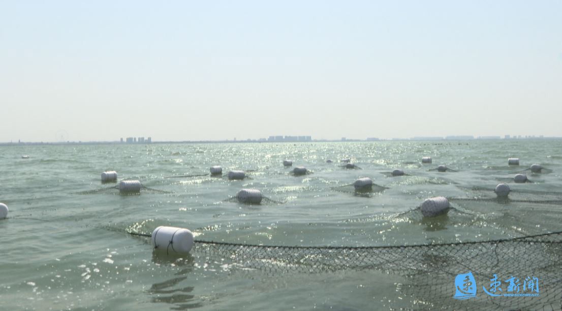 江苏宿迁：骆马湖“春耕”忙生态养殖绘新章(图1)